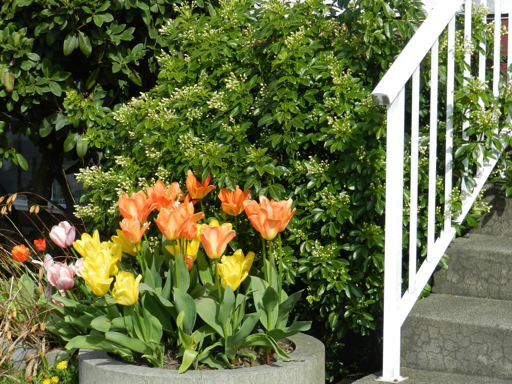 Serenity Burnaby Exterior foto